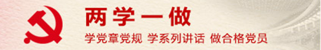 slice6.png
